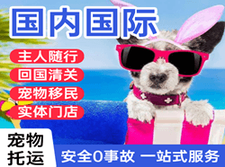 西庆航空物流国际宠物托运 【国